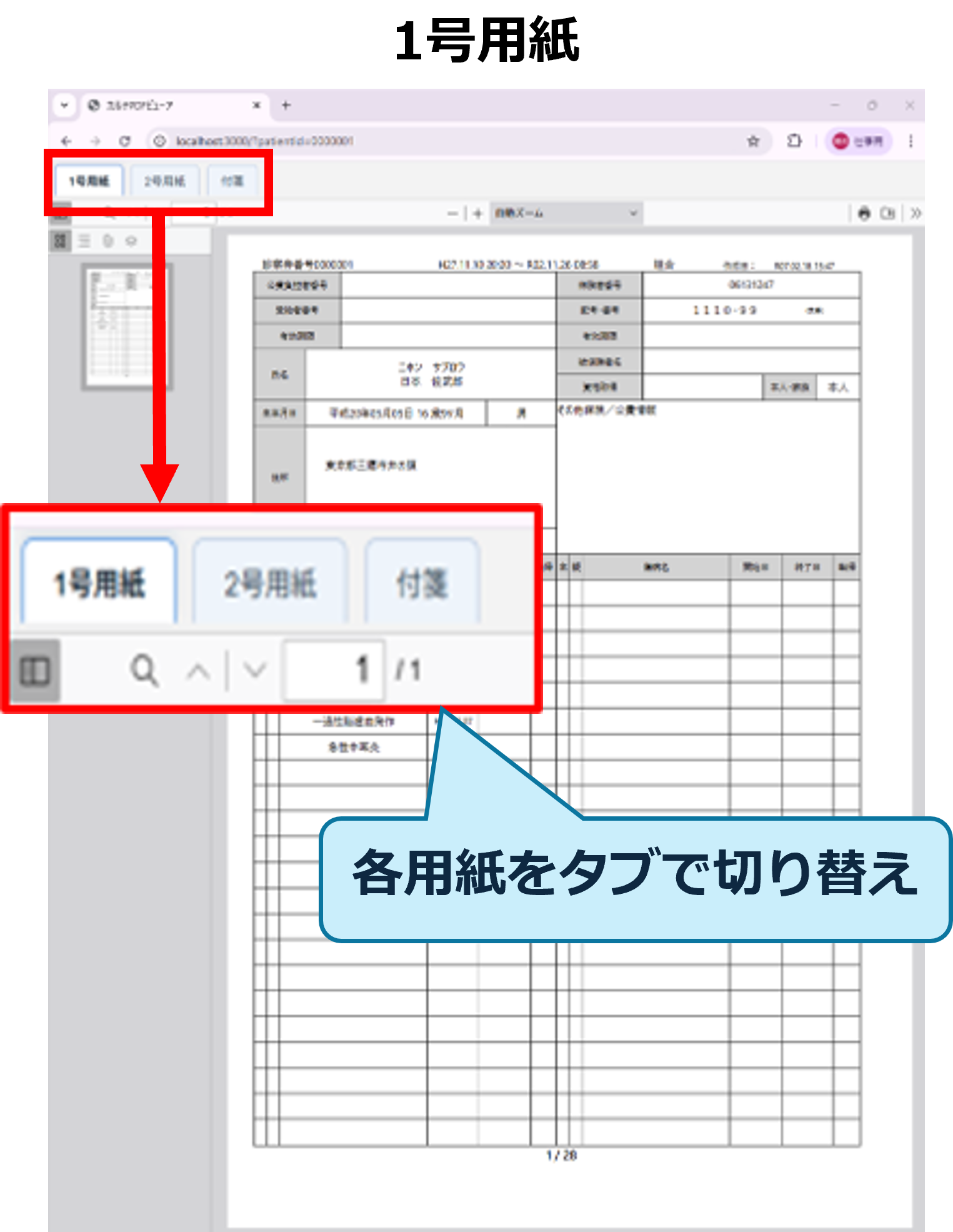 カルテビューア表示イメージ（1号用紙）